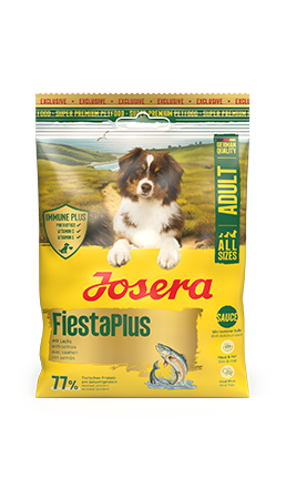 Fiesta Plus